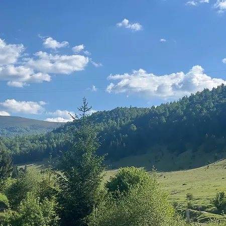 в карпатах Huklyvyy
