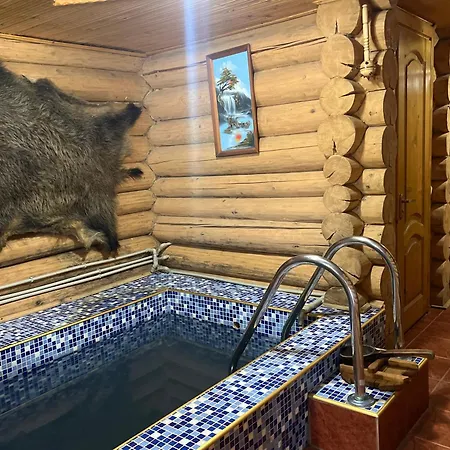 Шале в карпатах